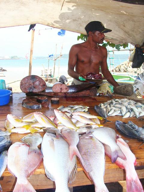 Fish Market