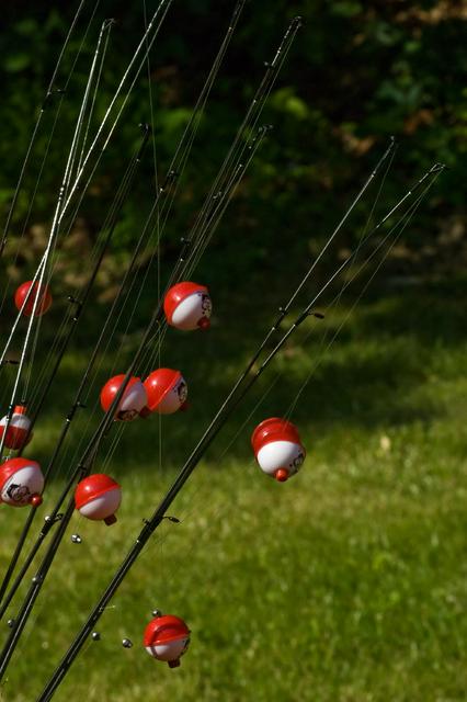 Lake Vesuvius Fishing Derby