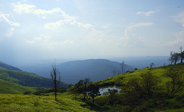 Bandipur forest seen from Gopalaswamy hills