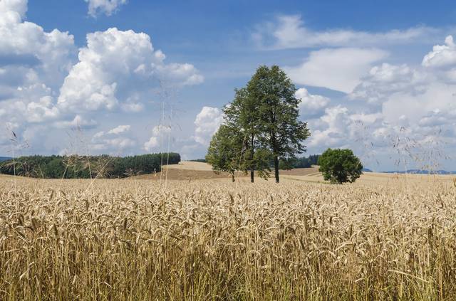 Poland was traditionally an agrarian country, and Poles hold a particular affinity to the countryside