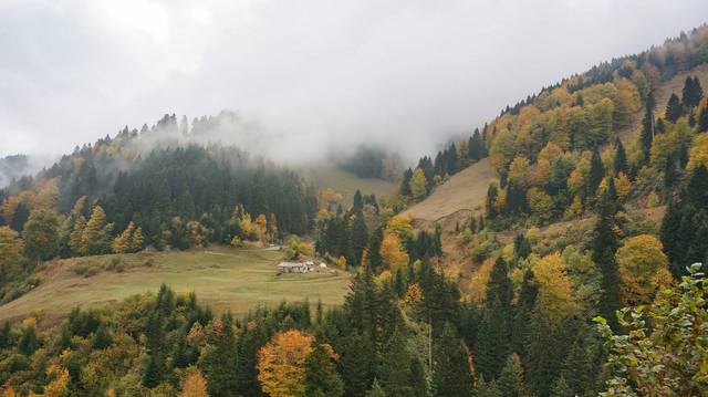 Landscape near Hamsiköy, Maçka district