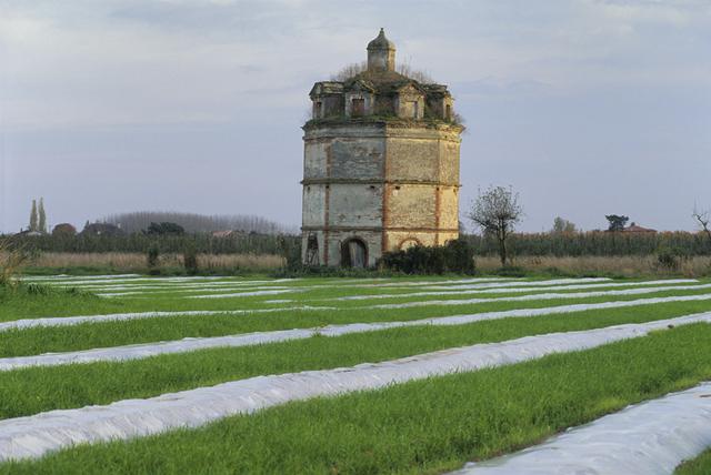 Pigeon loft (pigeonnier) of Milliole, a historic monument