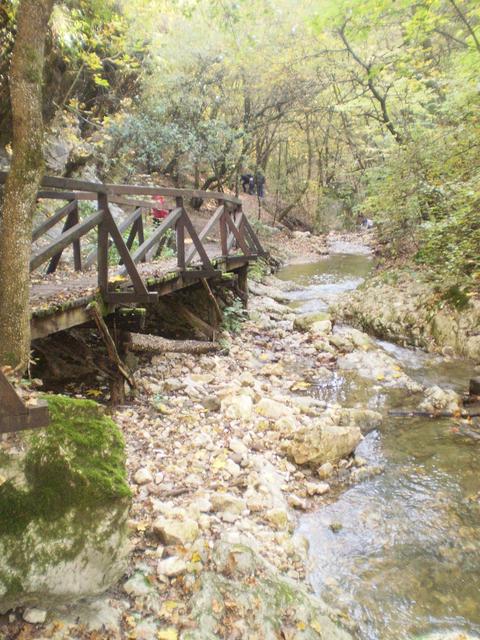 the Dera creek canyon, close to Pilisszentkereszt