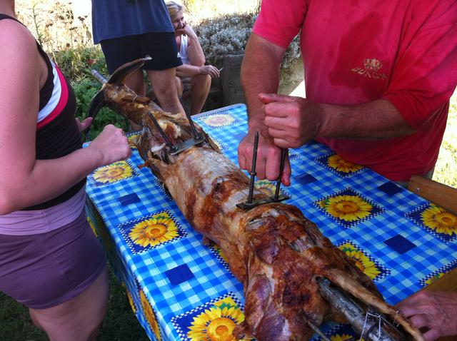 Janjetina, lamb roast