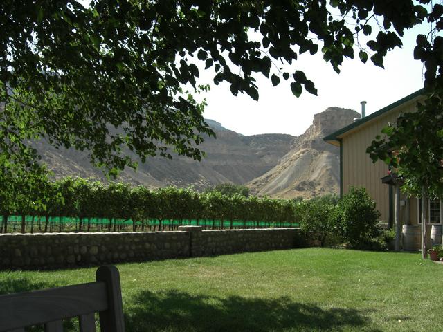 A Grand Junction Winery with the Colorado National Monument in the Background