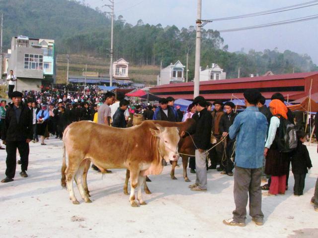 A corner in Dong Van Market