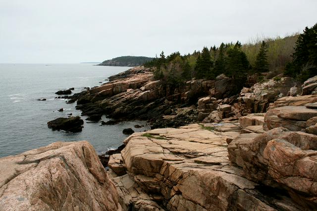 A rocky portion of the coastline in Acadia National Park.