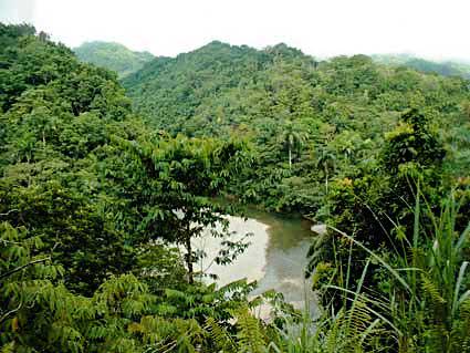 Landscape in the national park