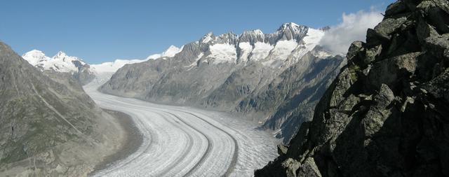 The Aletsch Glacier as seen from the Bettmerhorn.