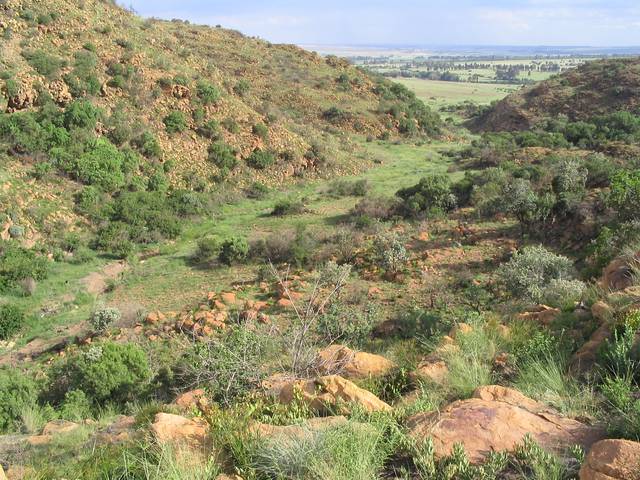 Suikerbosrand Nature Reserve