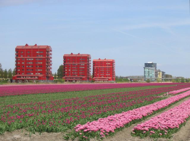 Almere has its share of sights to behold