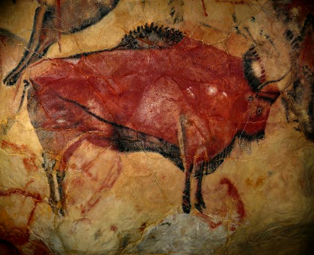 Bison in the Altamira cave