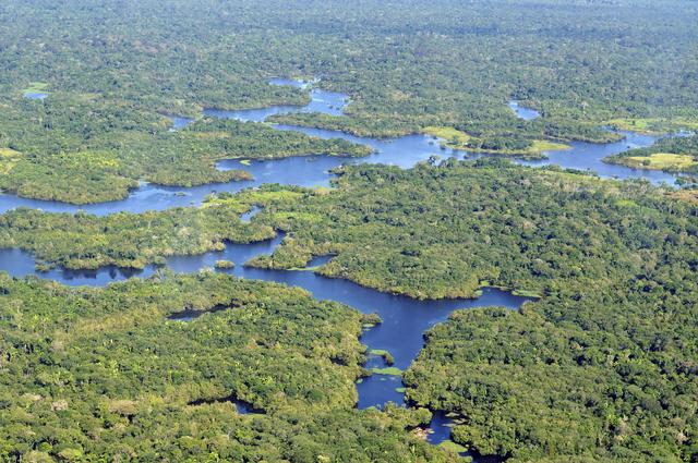 View of the Amazon rainforest