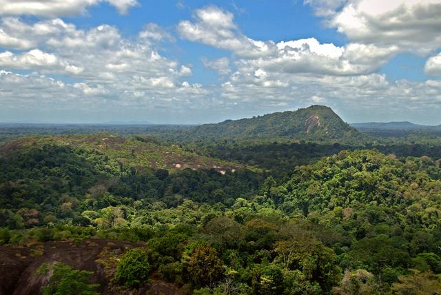 The Amazon jungle as seen from the top of Mt. Volzburg.