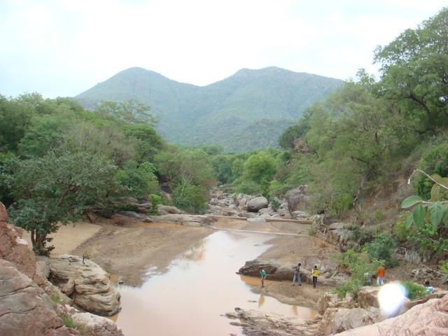 Amirthi Forest and Zoological Park