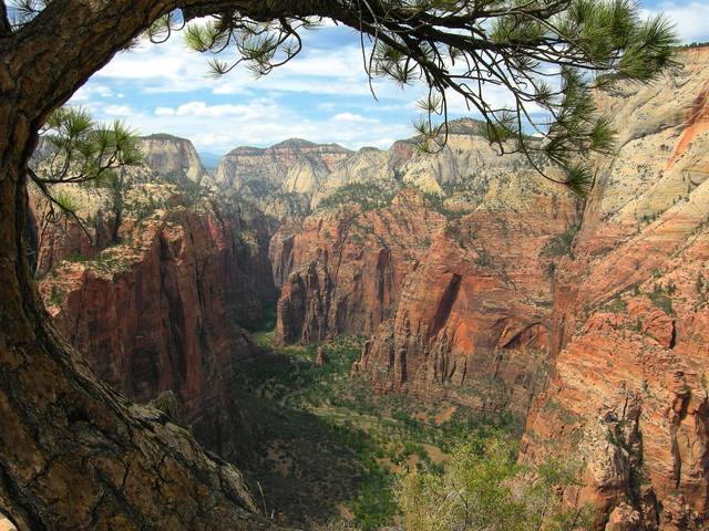 Zion Canyon, viewed from Angels Landing