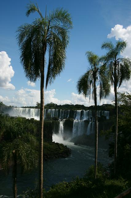 Iguaçu Falls near Puerto Iguazú