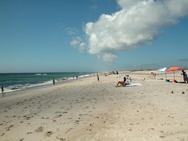 Beach on Assateague Island