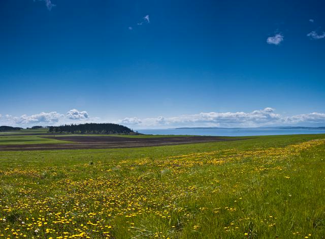 Farms and Puget Sound in the distance on Whidbey Island