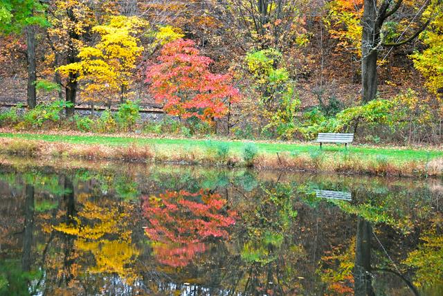 Autumn colors at Lindabury Park