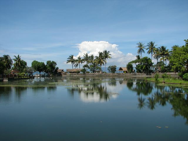 The lotus lagoon at Candidasa beach