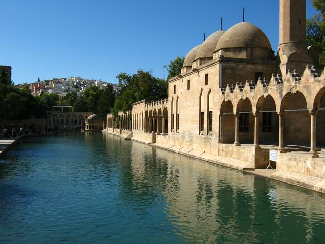 The pond of holy fish (Balıklıgöl) in the old city of Urfa