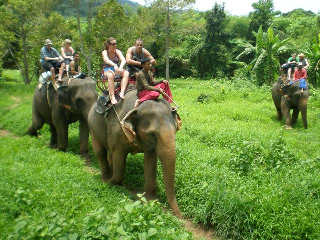 Elephant trekking, Ban Kwan