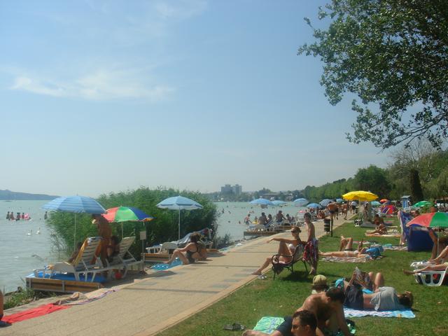 Beach along the lake