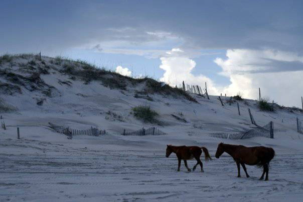 Outer Banks - near Corolla, NC