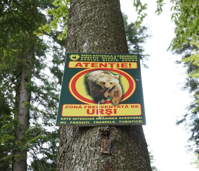 Bear warning sign