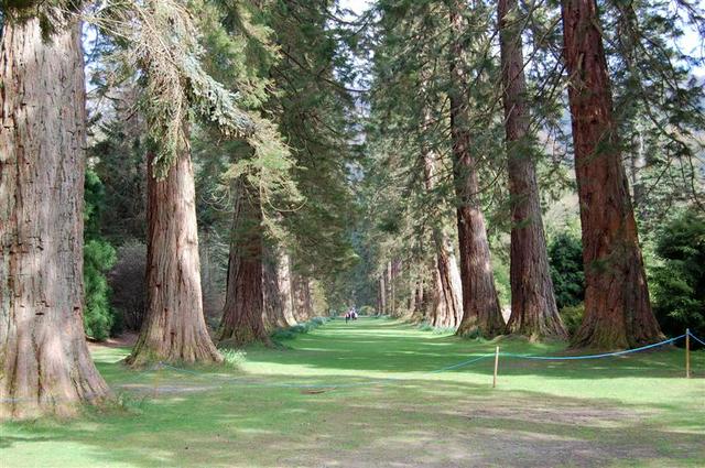 Benmore Botanic Gardens