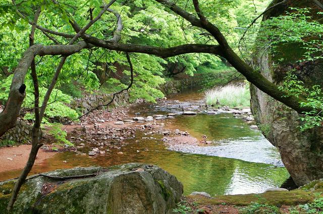 Songnisan National Park