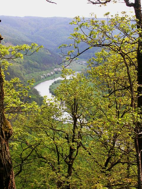 Natural forest and Berounka river in Křivoklátsko Protected Landscape Area