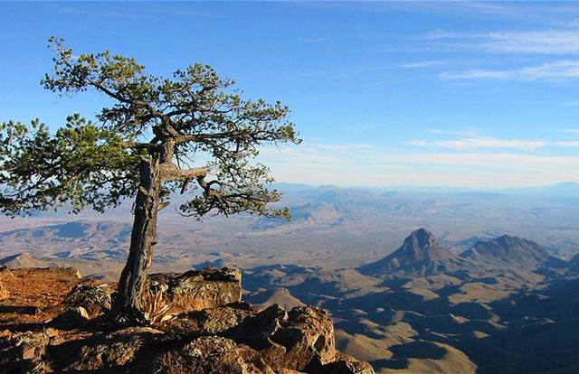 The South Rim at Big Bend National Park