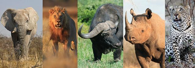 The Big Five