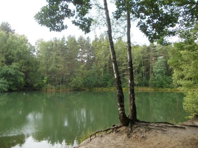 "Blue Lake" in the Dahlen heath, south of Torgau