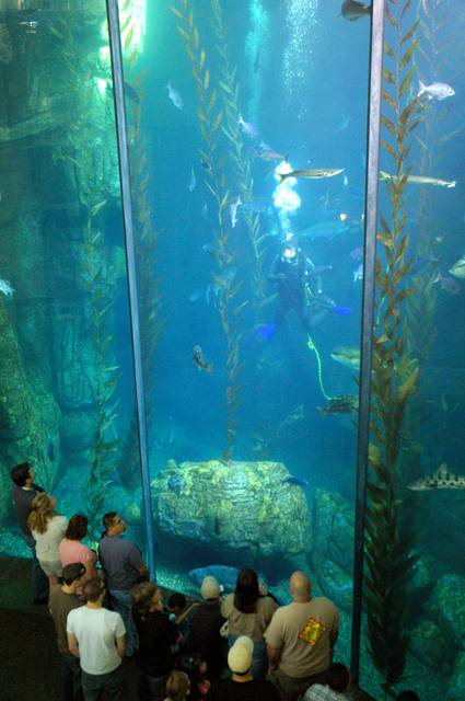 the Aquarium of the Pacific