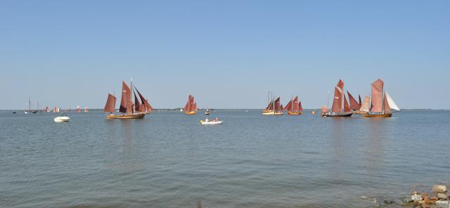 Sailing regatta on the lagoon