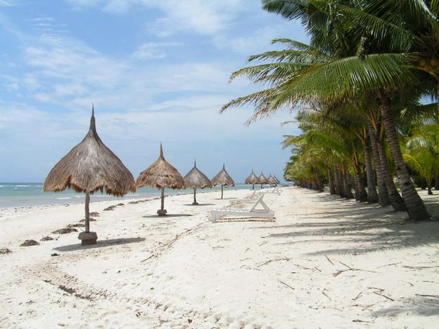 Panglao Island shoreline