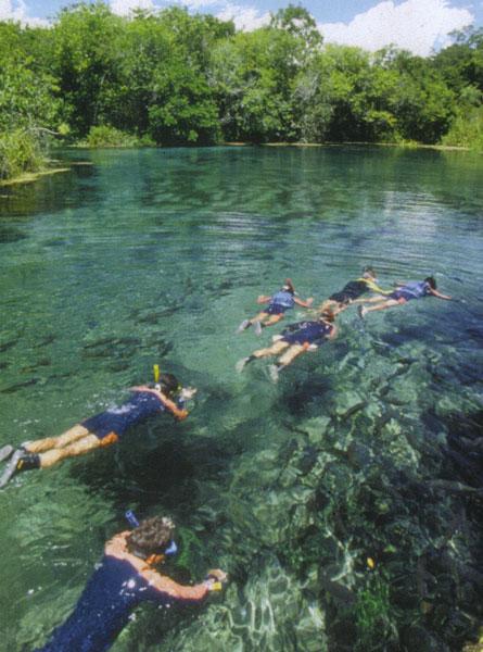 Snorkeling in the clear waters near Bonito