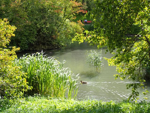 Aarhus Botanical Gardens