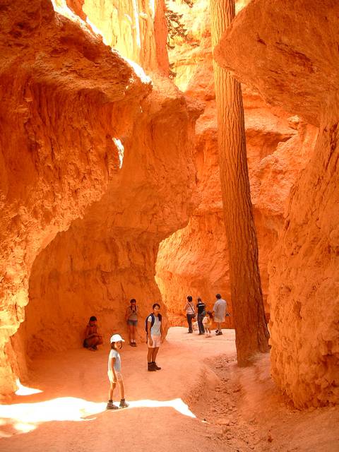 Hiking through "Wall Street" in the canyon