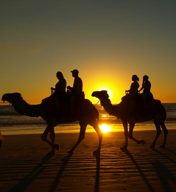 Camel rides are a popular tourist activity