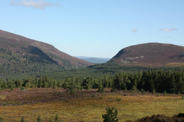 The Cairngorms