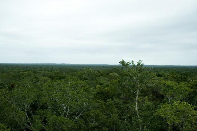 Calakmul bio reserve