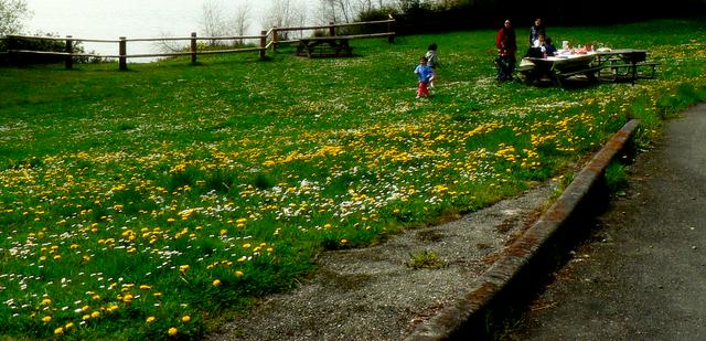 Camano Island State Park