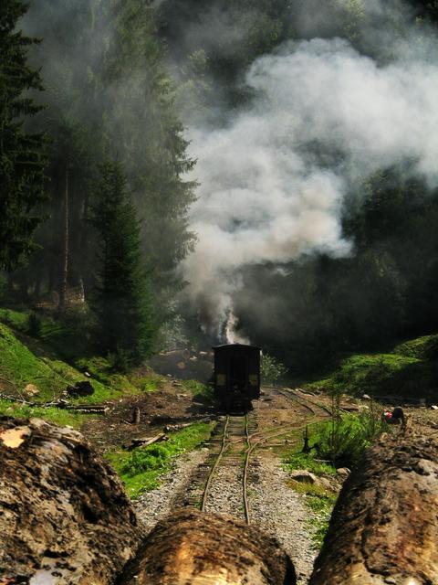 Vaser Valley Railway