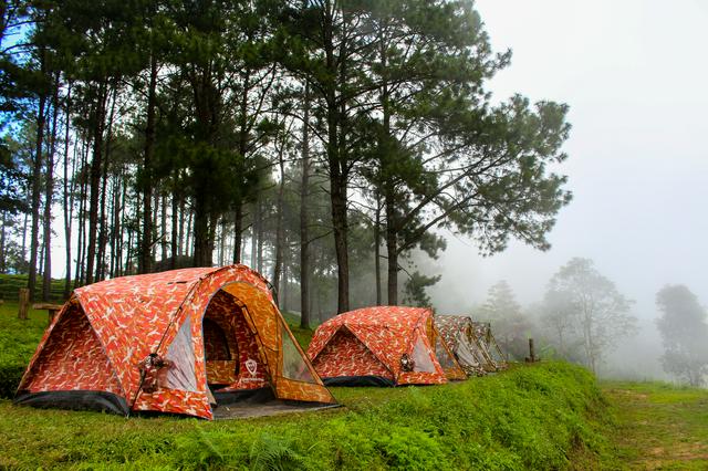 Doi Ang Khang Camping