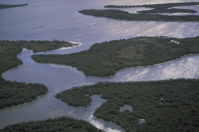 Areal view of islands in Canaveral National Seashore