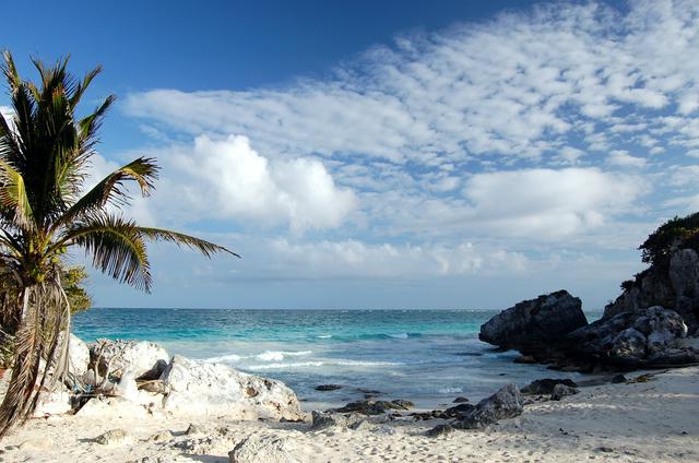 This beach at Tulum is protected for nesting sea turtles; Quintana Roo, Mexico